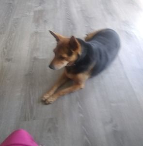 Meet your Posher, Vera